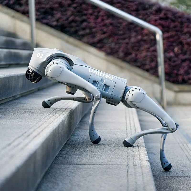 Unitree Go2 Robot Dog